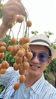 無核黃皮金黃飽滿，多汁帶甘和甜味，生津健胃。