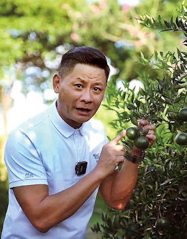 林敬剛在柑橘果園農場拍片做宣傳。（圖片：影片截圖）