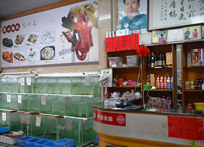 飯店的海鮮池有不同鮮魚選擇。