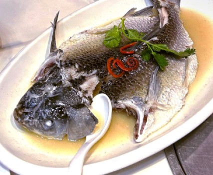 鹽油水蒸鯇魚濃香肉嫩滑，難怪這麼受歡迎。